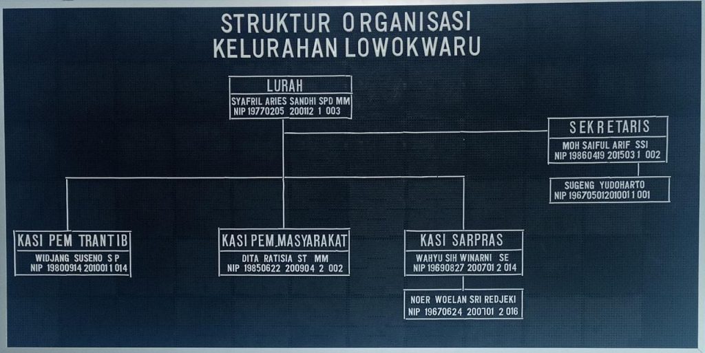 Struktur Organisasi Kelurahan Lowokwaru